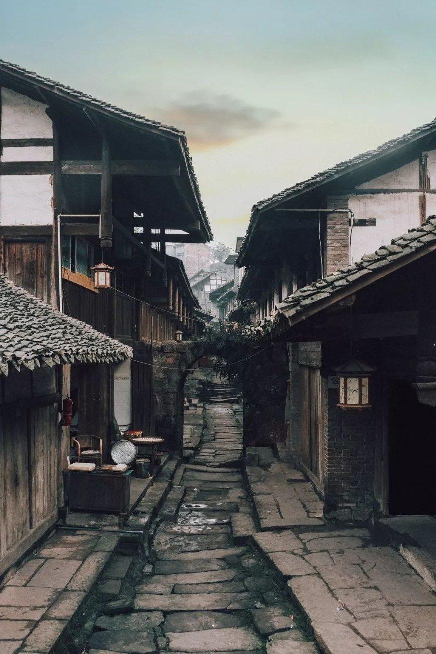 寻找迷路的松鼠